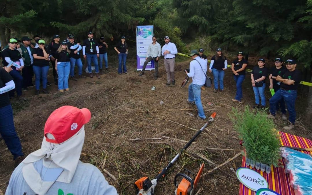 Estudiantes del ENA San Gabriel participan en jornada de reforestación en Finca El Pilar