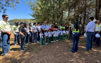 Reforestación – San Gabriel